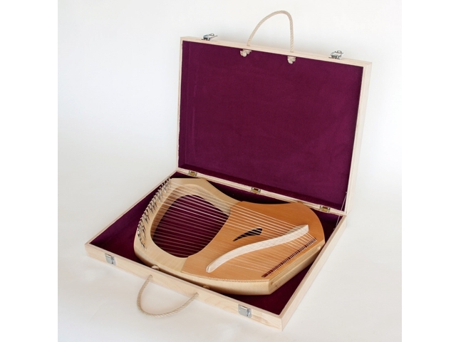 スチューデントライア