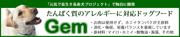 ドッグ＆キャット・アン