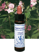 IMPATIENS　インパチェンス