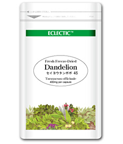 ダンデライオン