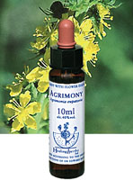 AGRIMONY　アグリモニー