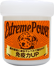anima-ex-.png