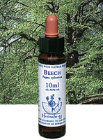 フラワーエッセンス【BEECH　ビーチ】