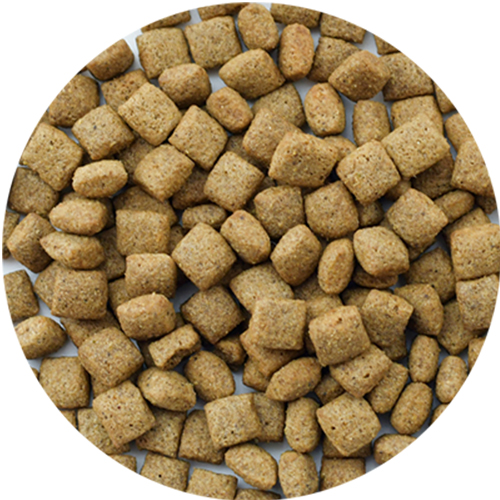 ボディバランス エイジングサポート（7歳からの犬用）