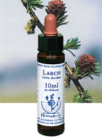フラワーエッセンス【LARCH】