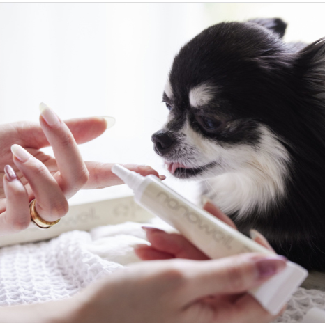nw_oralcare_dog_20ml03.jpg