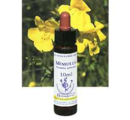 フラワーエッセンス【ミムラス　MIMULUS】