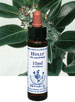 HOLLY　ホリー