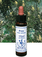 PINE　パイン