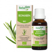 rosemary.jpg