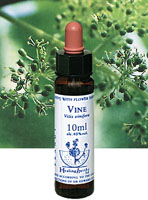 フラワーエッセンス【VINE　ヴァイン】