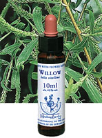 フラワーエッセンス【WILLOW　ウィロウ】