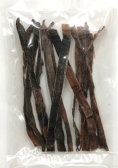 oyagyutan01.jpg