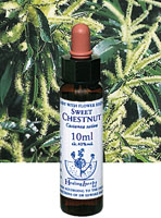 フラワーエッセンス【SWEET CHESTNUT　スイートチェスナット】