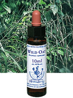 WILD OAT　ワイルドオート