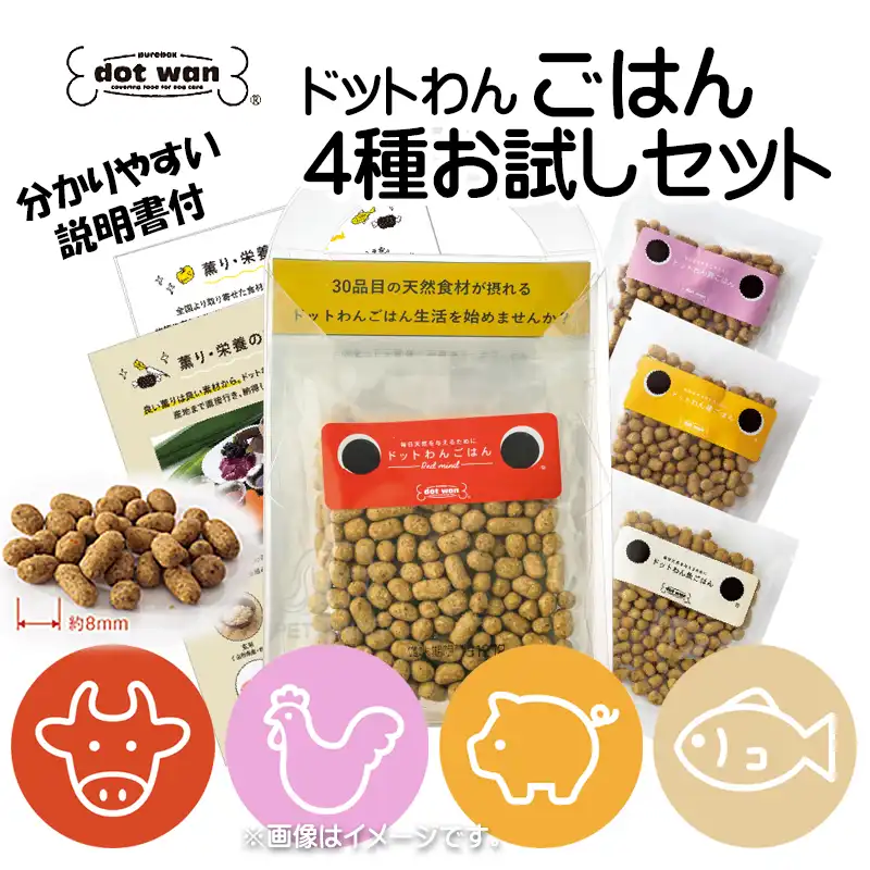 ごはん4種お試しセット