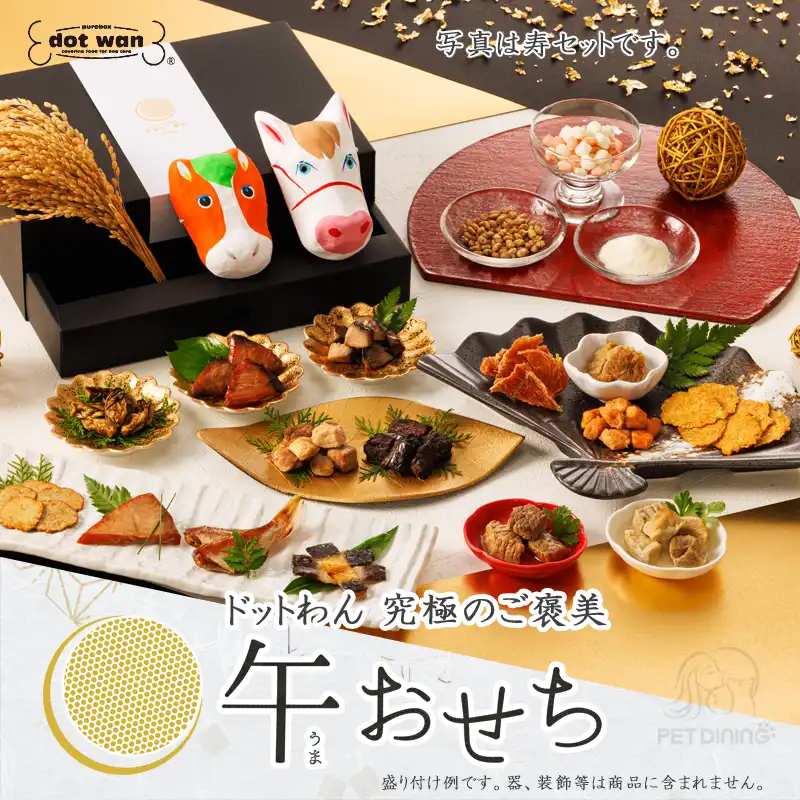 ドットわん　2026年午おせち