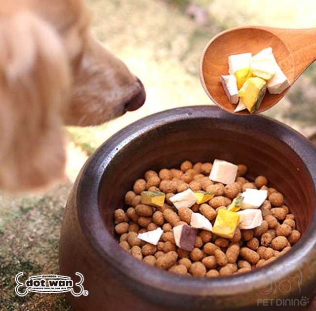 ドットわん　ごはん　盛り付け