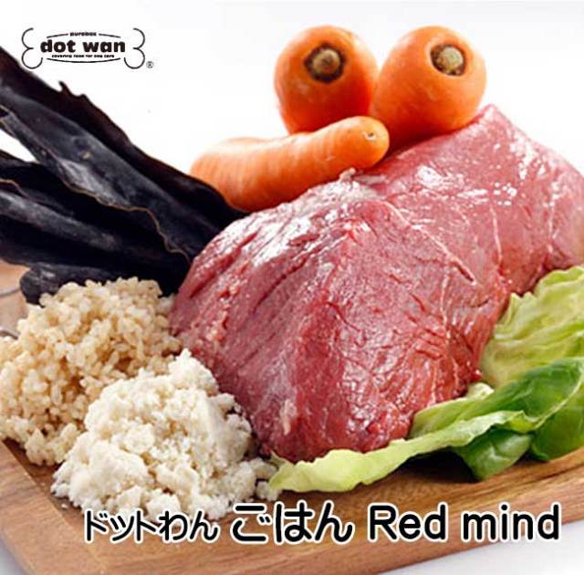 ドットわん　ごはん Red mind