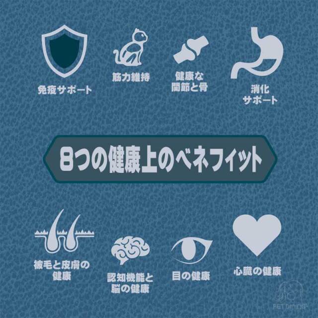 オリジン　ガーディアン8　特徴