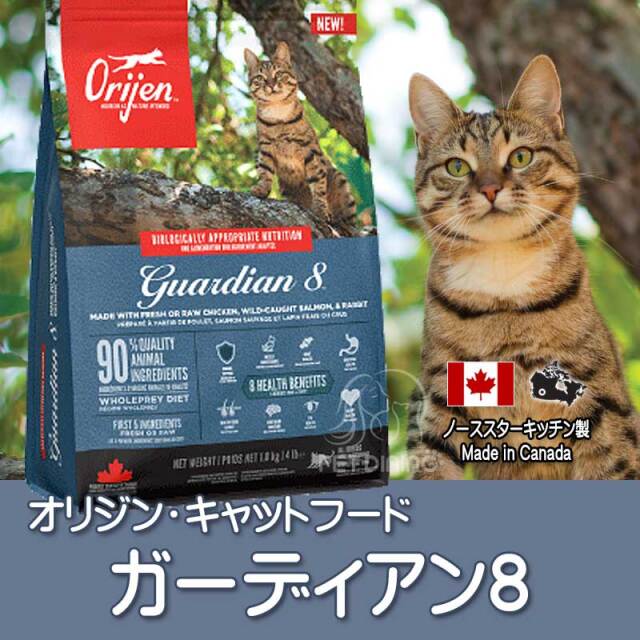 オリジン　ガーディアン8