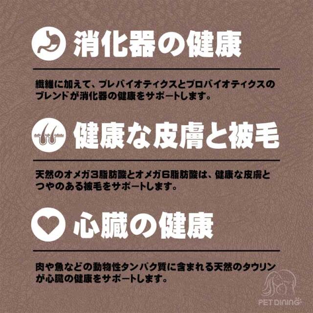 オリジン・レジオナルレッドキャット　特徴
