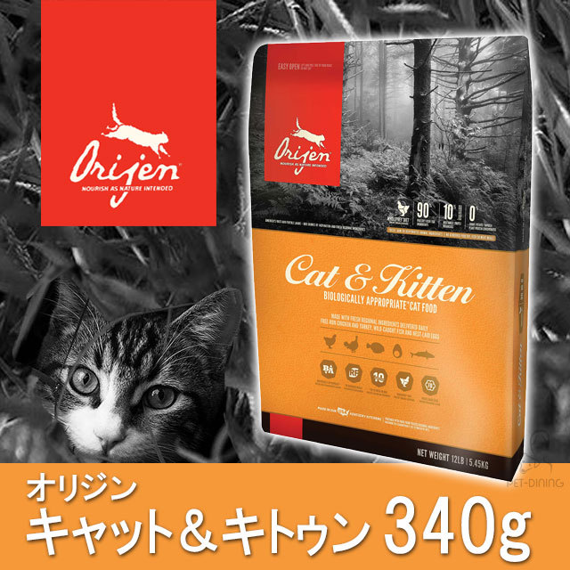 お試し応援対象商品】キアオラ・キャット カンガルー 300g PET DINING