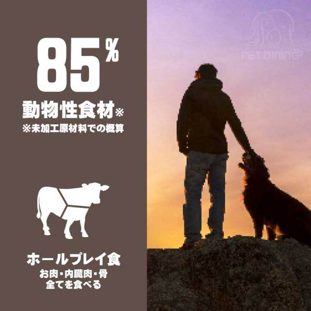 オリジン・ドッグ　レジオナルレッド　ホールプレイレシピ