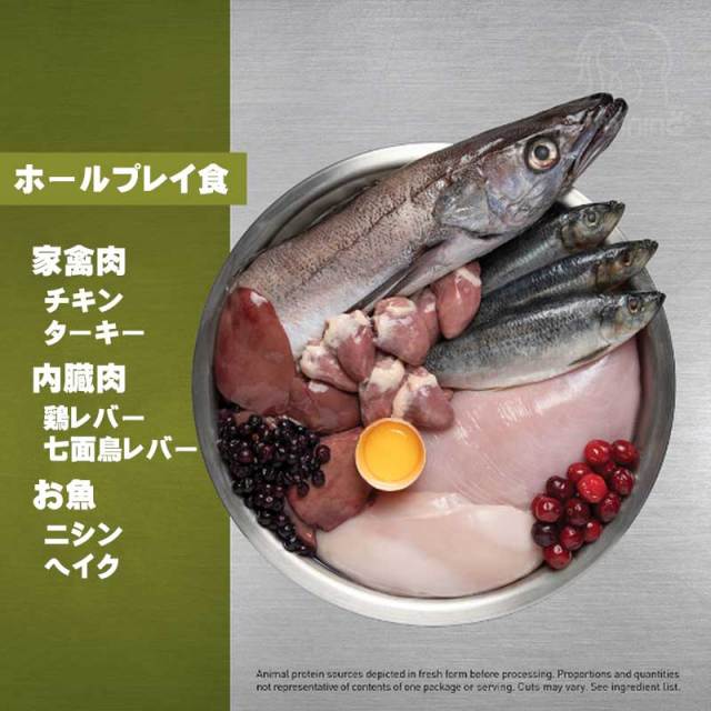 オリジン・ドッグ　シニア　原材料