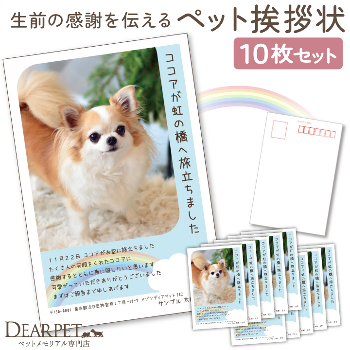 ペット 挨拶状 印刷 名入れ無料 10枚 セット 暑中見舞い 寒中見舞い クリスマスカード 【ネコポス対応】
