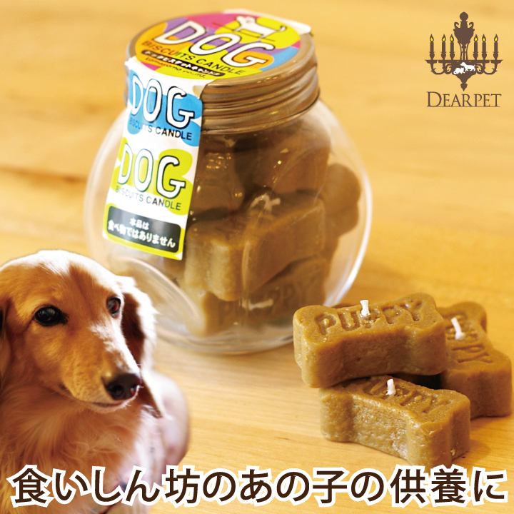 愛犬供養 ペット供養 ドッグビスケットキャンドル カメヤマ