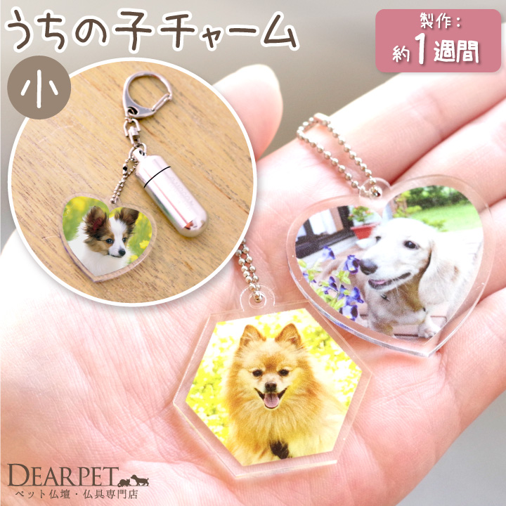 ペット メモリアルグッズ 写真入り アクリルチャーム小 【ネコポス対応】