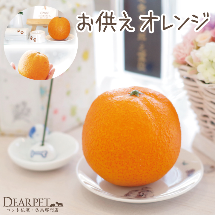 ペット仏具 お供え オレンジ