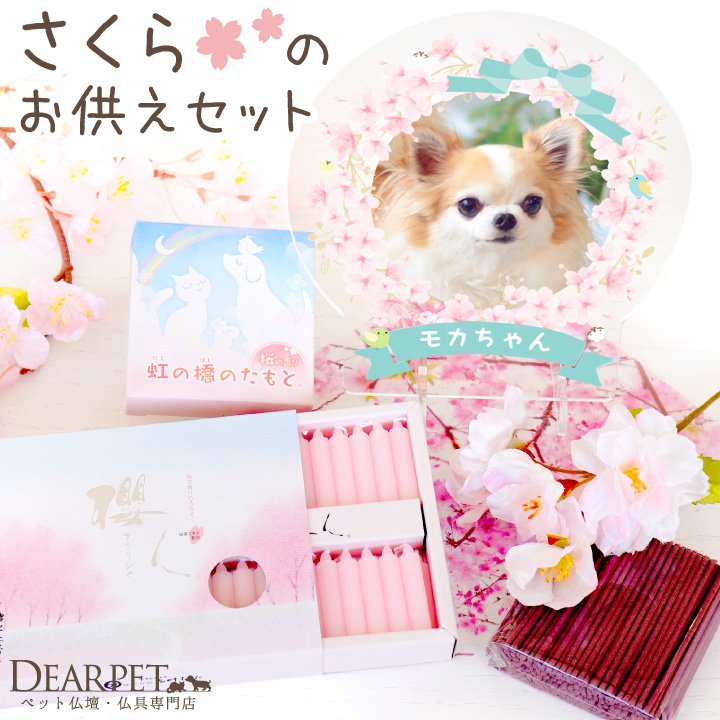 ペット仏具 春のお供えセット 桜 さくら ろうそく 線香 造花 & 写真 名入れ スタンド セット 
