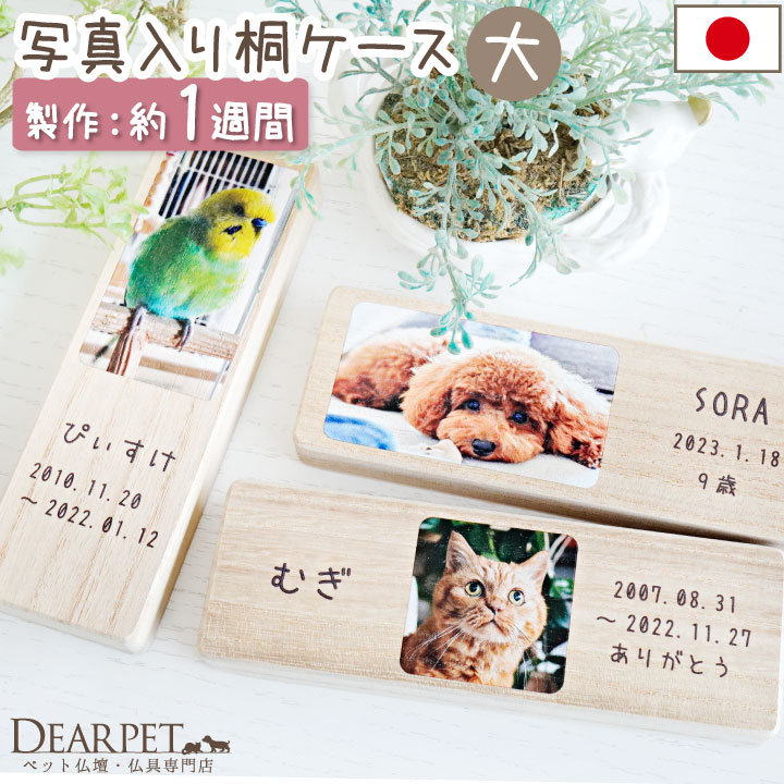 ペット 写真 入り 犬 猫 遺毛 ひげ 遺品 大サイズ 国産 桐製 名入れ 猫のひげケース 防湿 抗菌 防腐 兎 鳥 インコ 文鳥 オーダー 【送料無料】