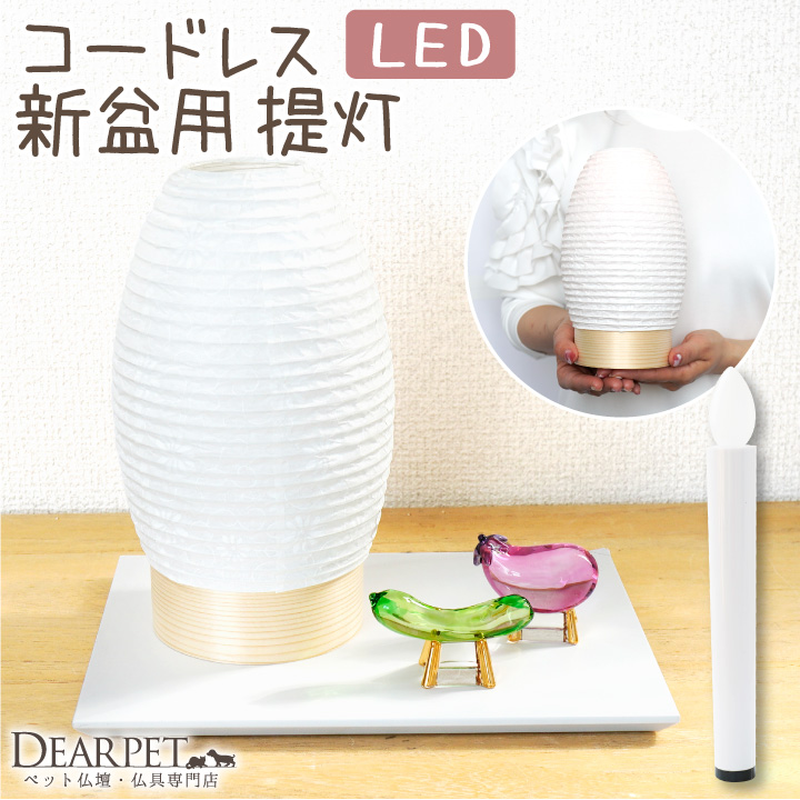 ペット用 新盆用 盆提灯 白紋天 提灯 ライト お盆 コードレス LED 【送料無料】