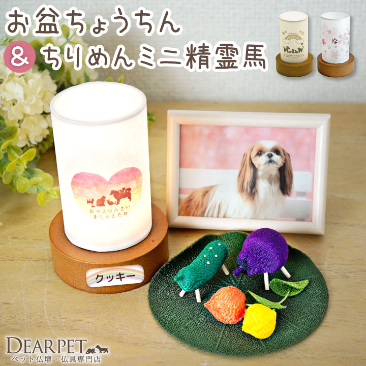 ペット お盆 おかえり 提灯 & ちりめん ミニ 精霊馬 ほおずき 蓮の葉 お盆飾り セット ネームプレート付  pset