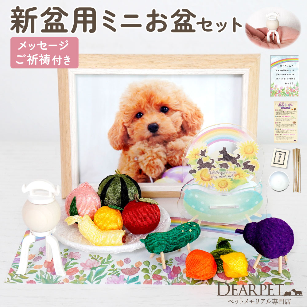 ペット お盆飾り お迎えセット きらきら クリスタル 精霊馬 蓮 10点 お供え お盆お迎えセット