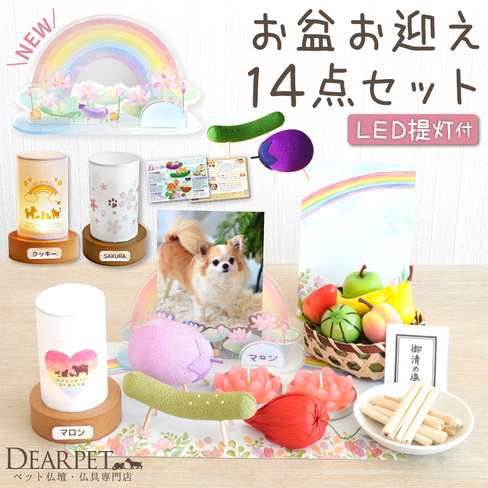 おかえり提灯セット