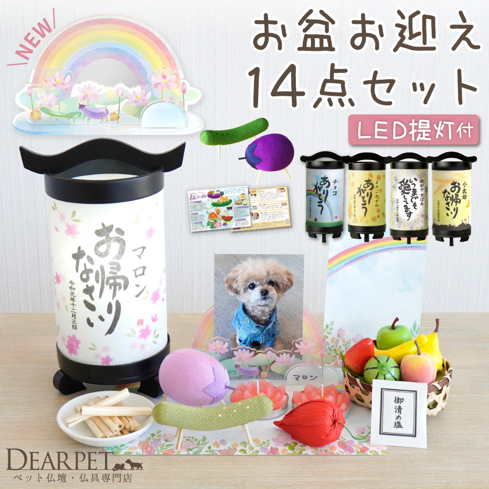 名入れお迎え提灯セット