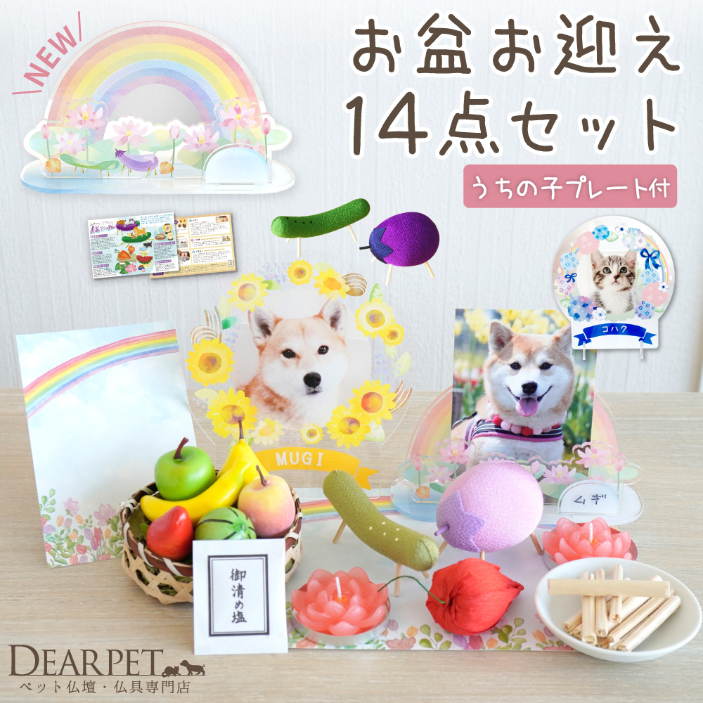 季節のプレートセット