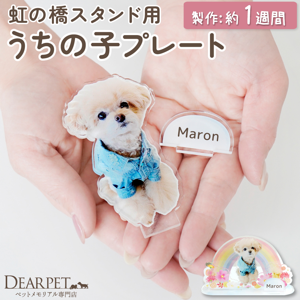 【オプション】虹の橋 スタンド 用 ペット 写真で作る うちの子プレート ネームプレート アクリル お盆飾り お供え 【ネコポス対応】