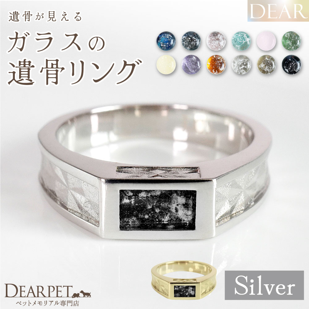 ペット 遺骨 リング 指輪 DEAR ディア "TSUMUGI" スターコンバージリング 名入れ無料 ガラス 封入 遺骨ジュエリー 遺骨リング シルバー SR04