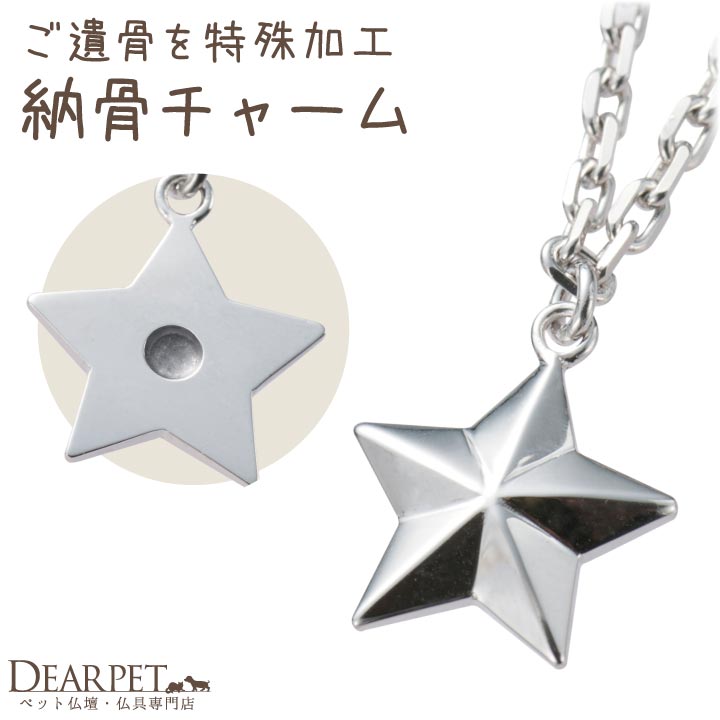 ペット 遺骨 アクセサリー TWINKLE(S) チャーム 単品 星 スター ISSHONY ARIES
