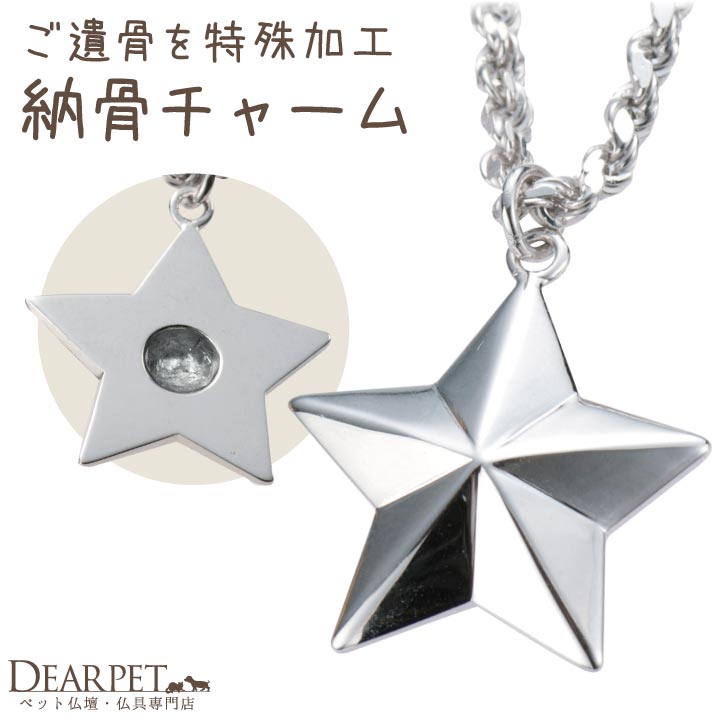 ペット 遺骨 アクセサリー TWINKLE（L） チャーム 単品 星 スター ISSHONY ARIES
