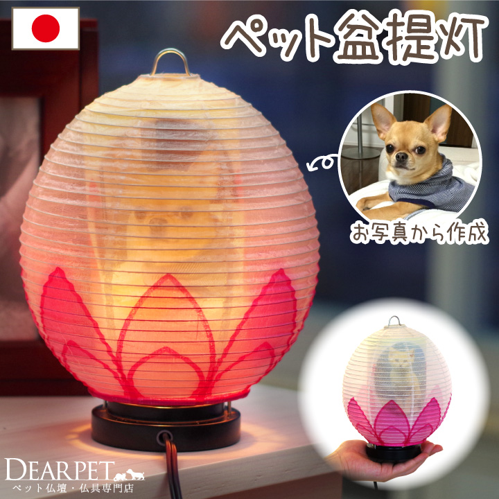 ペット盆提灯 写真入り ペット供養 ちょうちん 蓮の花