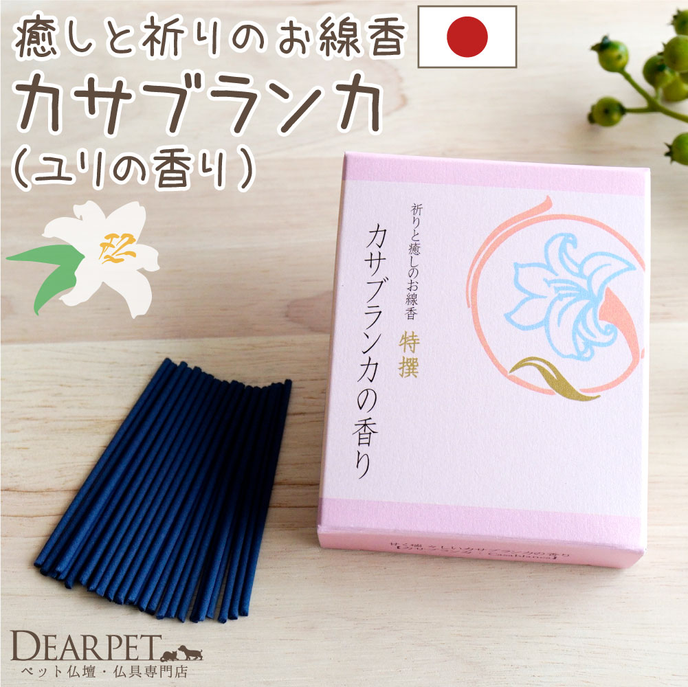 ペット仏具 線香 特選 祈りと癒しのお線香 カサブランカの香り ショートサイズ ユリ 百合 ゆり 【ネコポス対応】