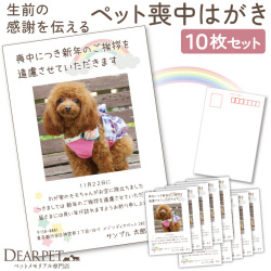 ペット 喪中はがき 印刷 名入れ無料 10枚 セット ペット用 喪中 葉書 【ネコポス対応】