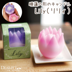 キャンドル リリィ Lily 睡蓮 単品 器は付属しません ピンク パープル 紫 蓮 ハス