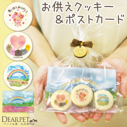 ペット お悔み ギフト オリジナル 虹の橋 クッキー ポストカード セット  虹の橋カード付  【ネコポス対応】